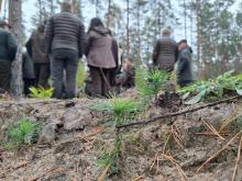 Każdy las jest inny i wymaga indywidualnego traktowania