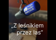 Realna ochrona lasów w Lasach Państwowych