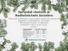 Zapraszamy do zakupu choinek